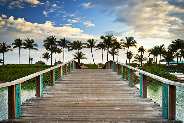 istock Tropical Ocean Beach Summer Vacation Palm Trees Paradise Resort Bridge 154273058