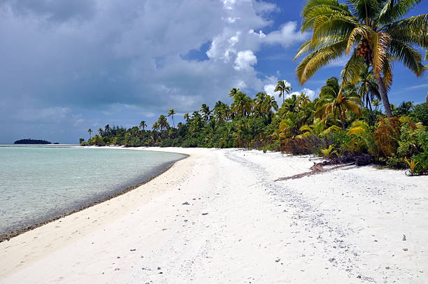 istock Beach with palm trees - Aitutaki Lagoon, Cook Islands 154273886