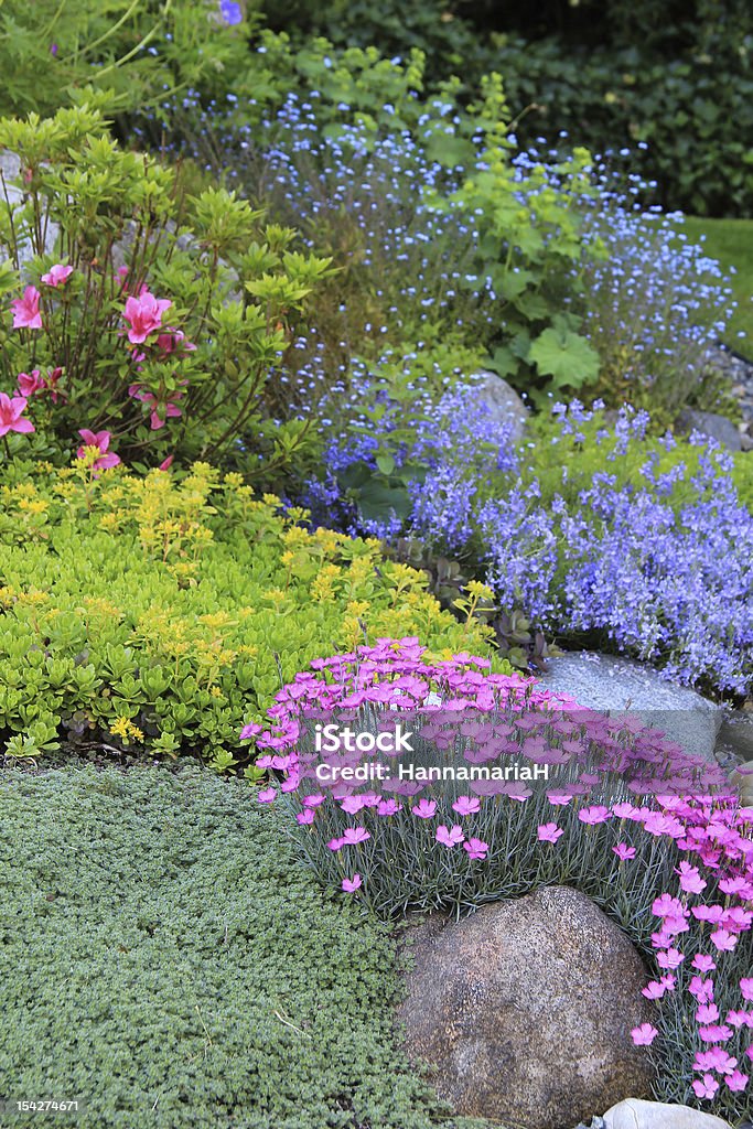 Spring flowers Beautiful garden of spring flowers. Shallow depth of field, focus on the pink dianthus in the front. Yard - Grounds Stock Photo