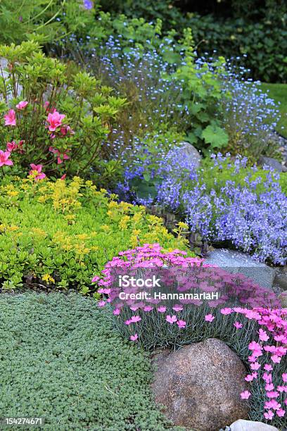 Foto de Flores Da Primavera e mais fotos de stock de Jardim particular - Jardim particular, Ajardinado, Canteiro de Flores