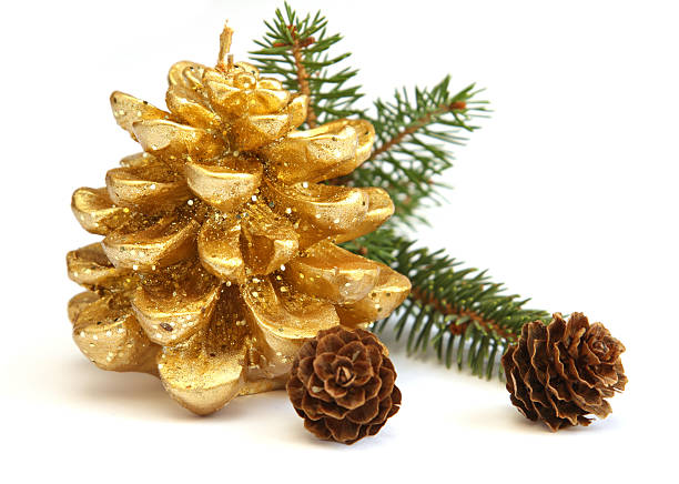 Golden pine cone and branch of Christmas tree stock photo