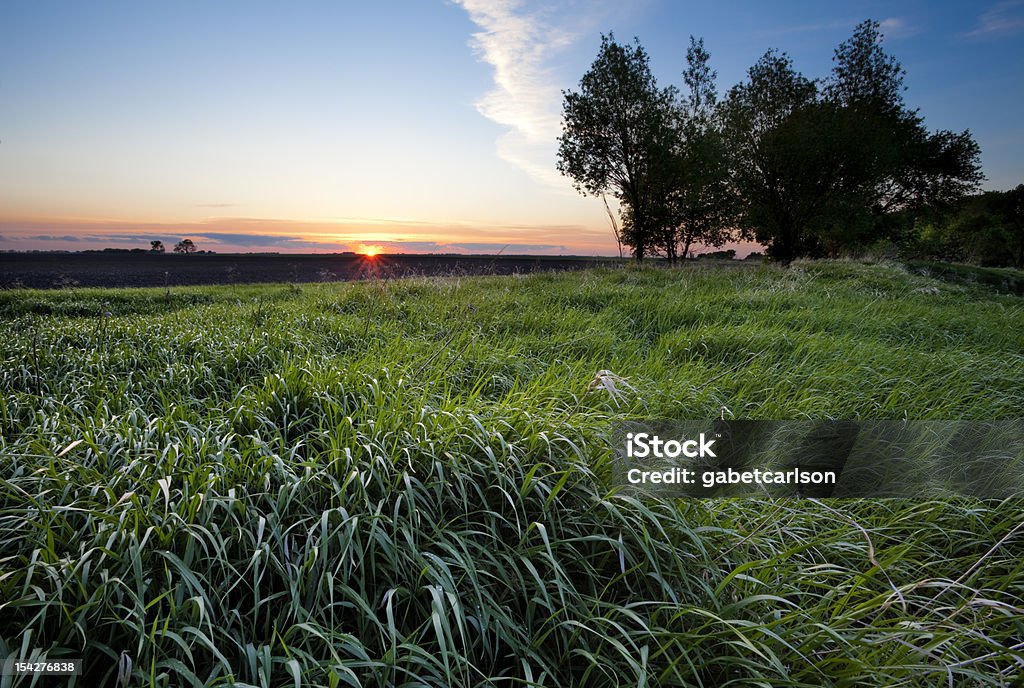 Поле of Grass - Стоковые фото Северная Дакота роялти-фри