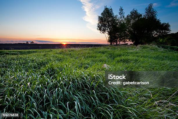 Поле Of Grass — стоковые фотографии и другие картинки Северная Дакота - Северная Дакота, Без людей, Весна