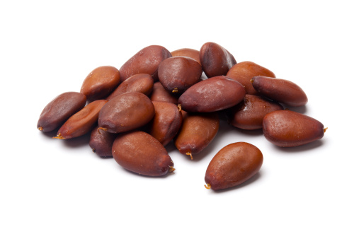 Ripe carob pods on a white background