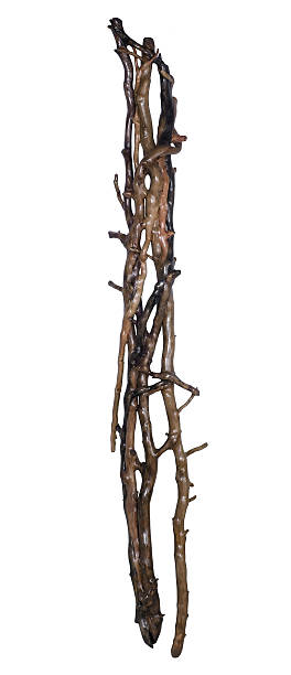 istock wooden entanglement 154279149