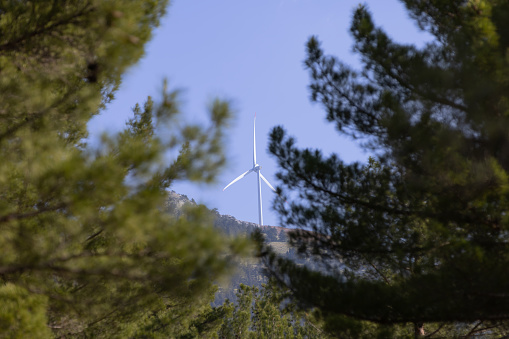Wind turbine with blue sky and trees.