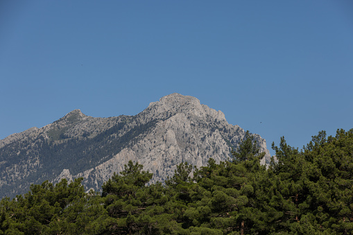 Panoramic mountain hill with green grass and snow isolated