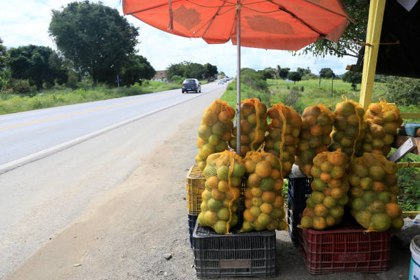istock navel orange for sale on the highway 1542793230
