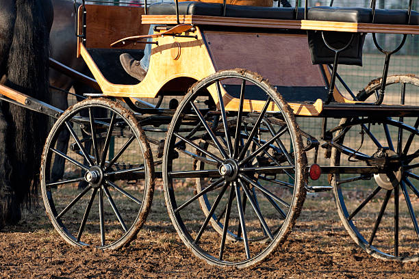 istock the horse-drawn carriage 154279421