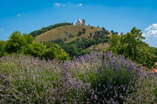 Scenery with a view of Svaty Kopecek and Chapel of St. Sebastian in Mikulov, selective focus