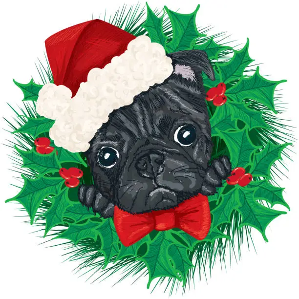 Vector illustration of Pug Dog Face with Santa Hat and Christmas Wreath
