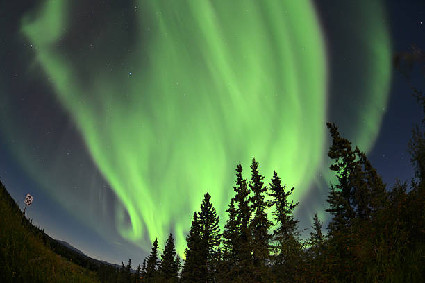 istock Aurora Borealis, Northern Lights 154284640