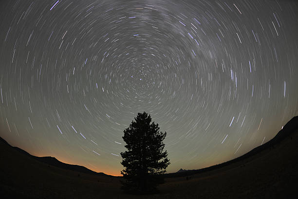 istock Stars above lonely fir 154284641