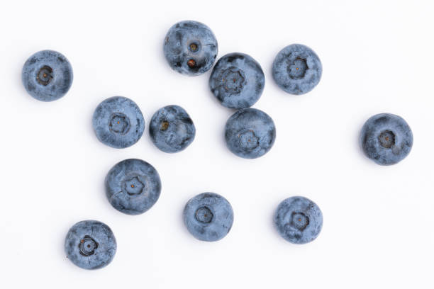 istock blueberry. Fresh raw berries isolated on white background. Collection. 1542847467