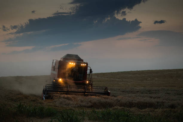 istock Harvester working in wheatfield at sunset. 1542858163
