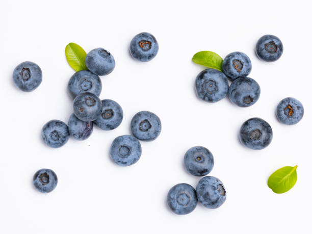 istock Fresh blueberries with blueberry leaves isolated on white background. View from above. Fresh raw berries 1542860235