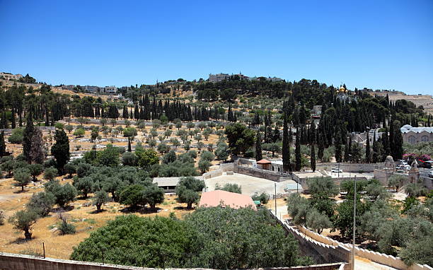 restaurant olives - garden of gethsemane photos et images de collection