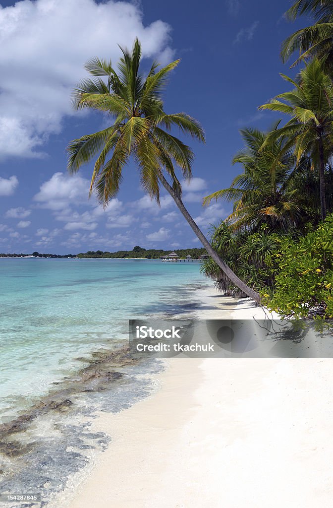 Maldivas - Foto de stock de Agua libre de derechos