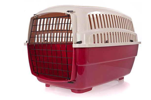 istock pet carrier isolated on white background 154288943