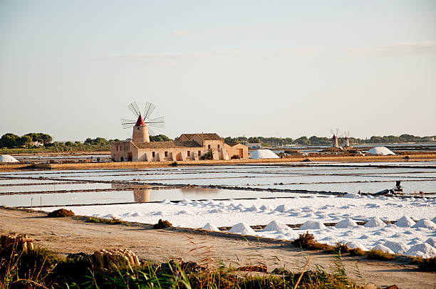 sicilia: marsala salinas, molinos de viento - trapani fotografías e imágenes de stock