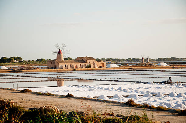 sicília: marsala salinas, os moinhos de vento - trapani - fotografias e filmes do acervo