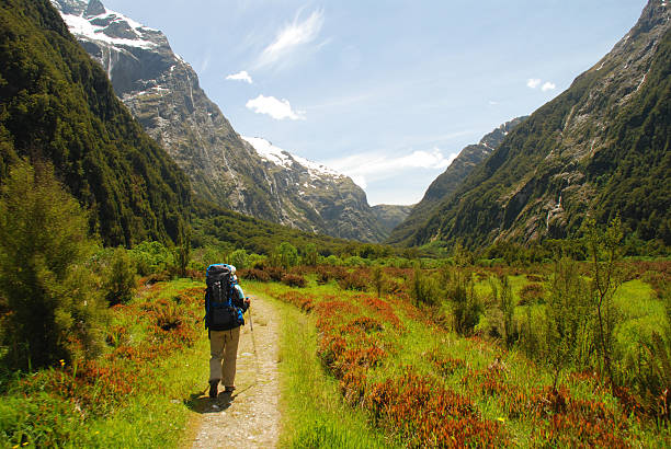Hiker in Milford Track Hiking the Milford Track, Fiordland National Park, South Island New Zealand fiordland national park photos stock pictures, royalty-free photos & images