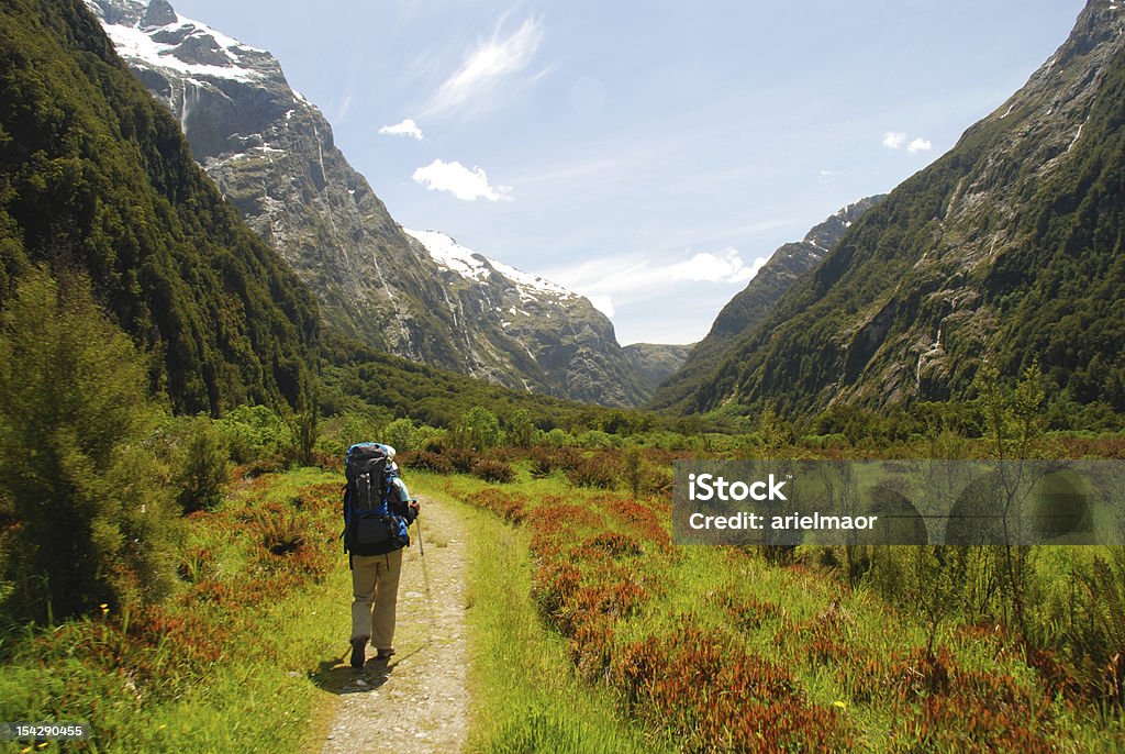 Người đi bộ đường dài ở Milford Track - Trả phí Bản quyền Một lần Milford Track Bức ảnh sẵn có Người đi bộ đường dài ở Milford Track - Trả phí Bản quyền Một lần Milford Track Bức ảnh sẵn có
