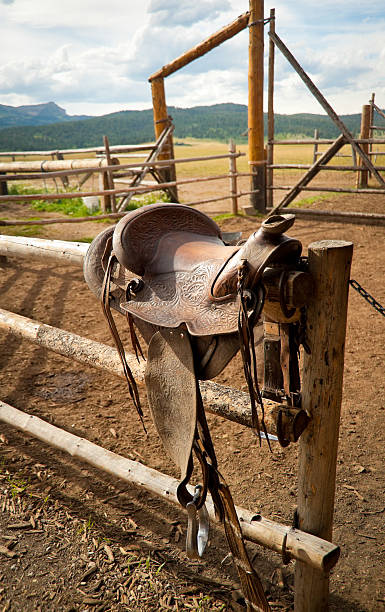 saddle in warten - island park idaho stock-fotos und bilder