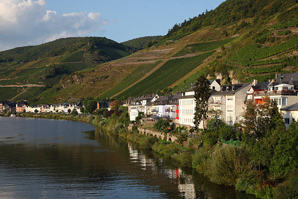 istock Town at the Mosel River, Germany 154290881