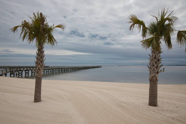 Long Dock From Bay of Biloxi Beach