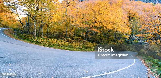 Follaje Otoñal De Vermont Nueva Inglaterra Estados Unidos Foto de stock y más banco de imágenes de Aire libre