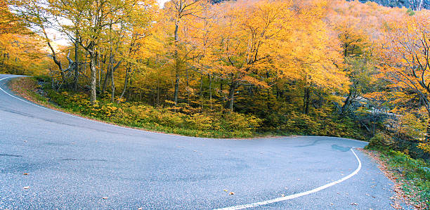 istock Vermont fall foliage, New England, US 154291764