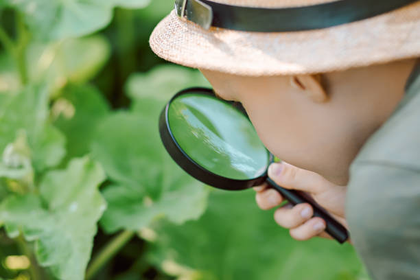 istock Caucasian Boy kid exploring nature environment with a magnifying glass loupe 1542938503