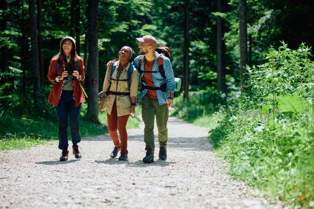 istock Young happy hikers walking on a path through the woods. 1542955261