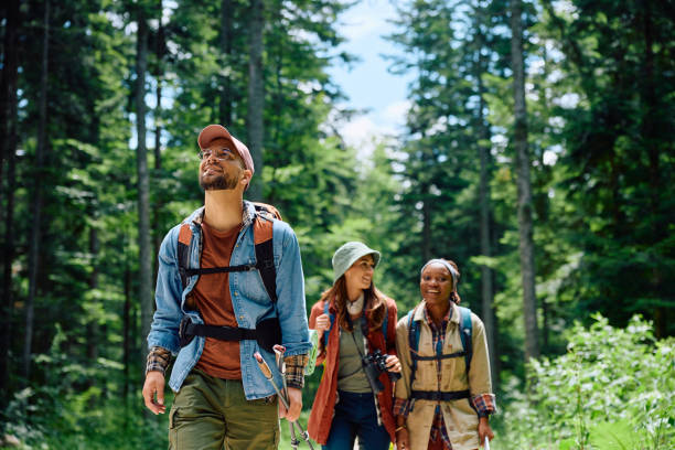 istock Happy backpacker and his friends hiking in the forest. 1542955847