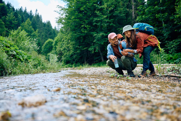 istock Take a look at this rock I've found in a creek! 1542959951