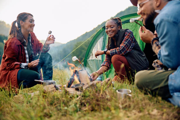 istock Young happy hikers roasting marshmallows on camping day in nature. 1542963577