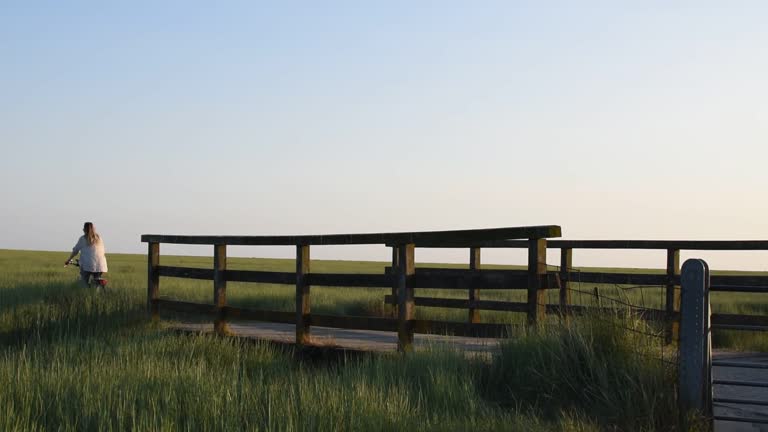 young woman rides a bicycle on a wooden bridge in a field