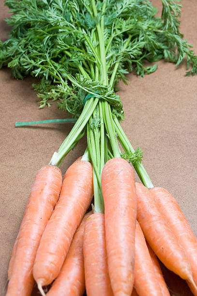 Carrots stock photo