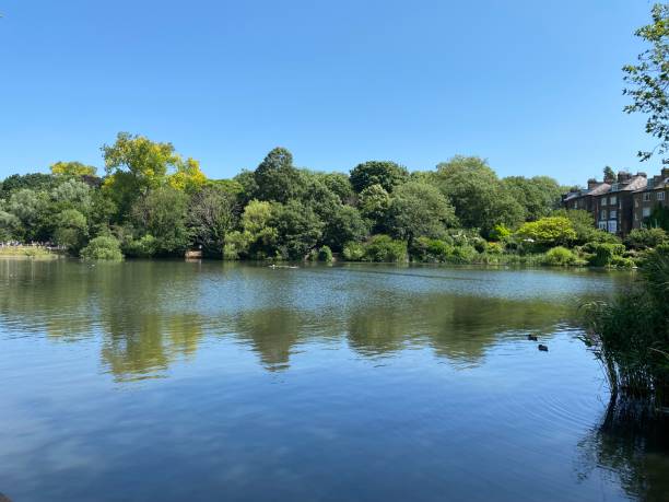 istock Walk in the park 1542983229