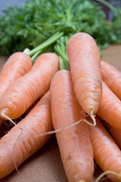 Carrot forefront stock photo