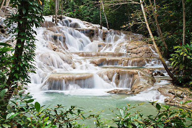 dunn's river falls - beauty in nature natural phenomenon waterfall falling water imagens e fotografias de stock