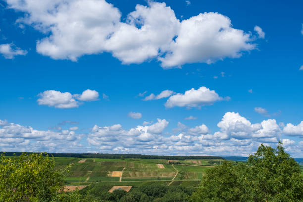 Summer landscape under a white-blue sky in Rhineland-Palatinate near Bretzenheim/Germany