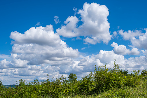 Summer landscape under a white-blue sky in Rhineland-Palatinate near Bretzenheim/Germany