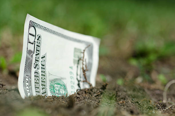 istock Money growing like grass 154303993