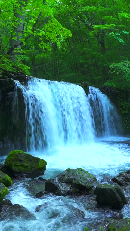 Choshi Otaki Waterfall / Oirase Stream,Towada-Hachimantai National Park, Aomori Prefecture