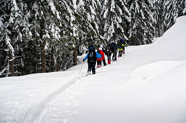 istock Group of Snowshoe Hikers 154309652