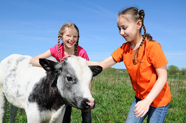 istock Girls on the farm 154311072