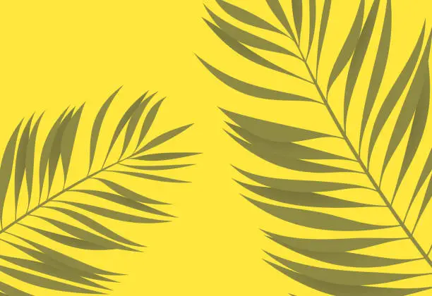 Vector illustration of Palm Leaf Yellow Tropical Background