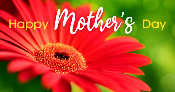 istock Happy Mother's Day 1543126333